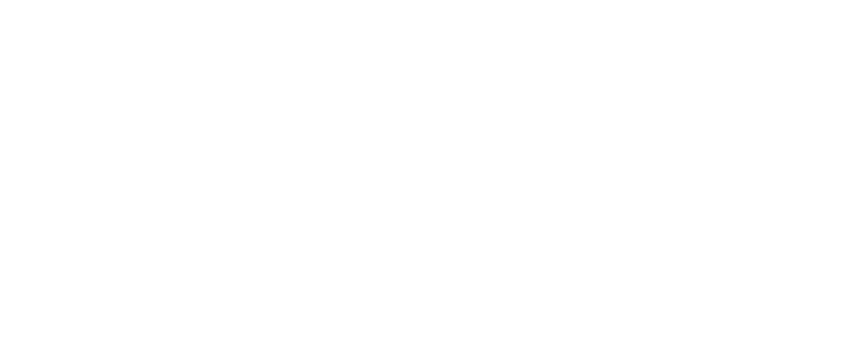 Vital Strategies_Logo_print_white_CMYK copy